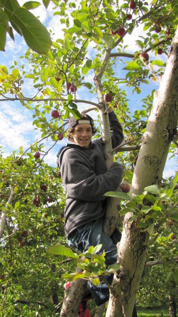 Nicko Bélisle, un élève de l’école Saint-Maxime, lors d’une activité de la formation préparatoire au travail.
