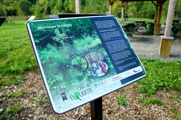 Les panneaux d'interprétation peuvent être consultés près de la pergola, à l'entrée du bois de l'Équerre.