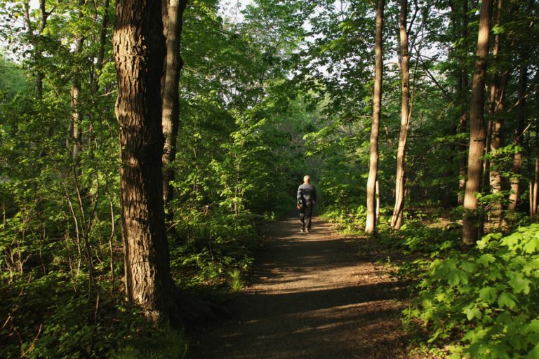 Des sentiers dédiés aux aînés au bois de l’Équerre Avec un sentier qui leur sera dédiée, les aînés pourront découvrir les attraits du bois de l'Équerre.