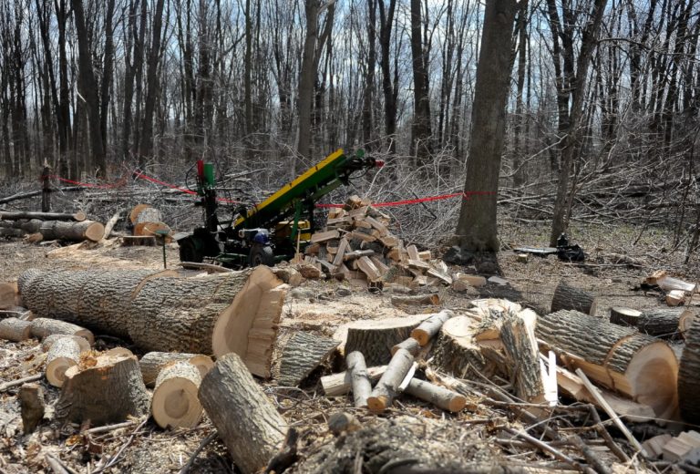Déboisement pour la construction d’un CPE Un inspecteur de la Ville de Laval a fait poser des rubans rouges afin de délimiter la zone de construction