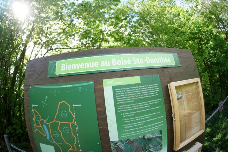 Huit propriétaires de terrains dans le boisé Ste-Dorothée, dont la Ville, ont signé une déclaration d'intention dans les derniers mois.