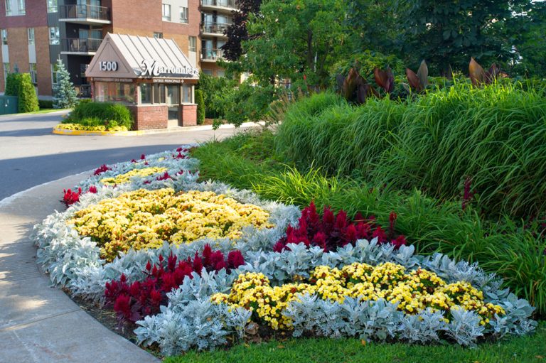 Président du comité consultatif en agriculture, le conseiller municipal Ray Khalil espère que ce Concours d'embellissement aura un effet d'entraînement auprès des Lavallois et que ceux-ci fleurissent à leur tour leur environnement.