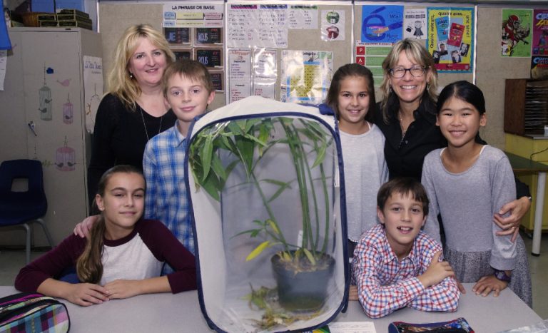 Des éloges pour des profs extraordinaires Les élèves ont apprécié le projet des papillons où ils ont constaté la transformation de la chenille.