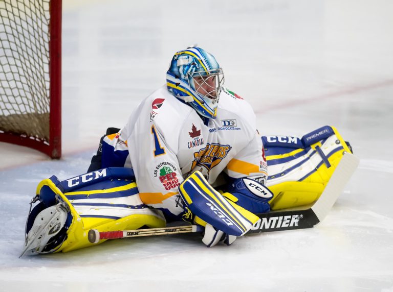 Les Prédateurs divisent les honneurs contre Thetford Mines Le gardien de but Adam Russo a joué pour ,500 en fin de semaine.