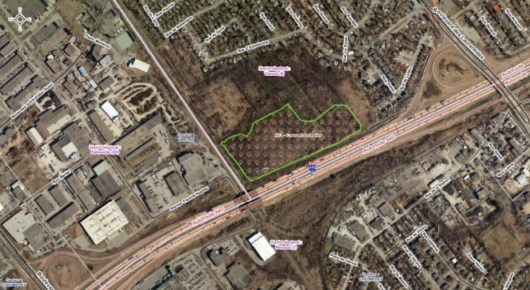 Le couvert forestier du bois d'Edimbourg protégé.