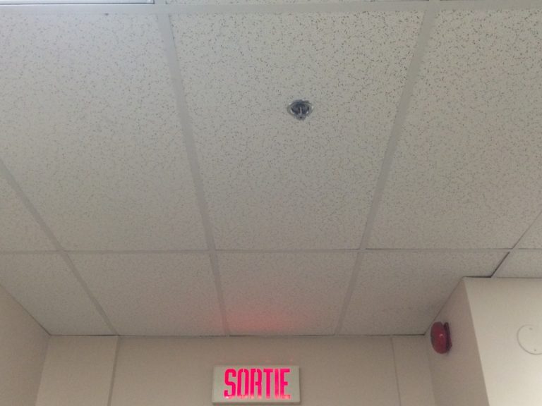 Plus de 67 M$ supplémentaires pour l’installation de gicleurs Toutes les résidences privées pour aînés devront être munies d'un système de gicleurs d'ici la fin de 2020.