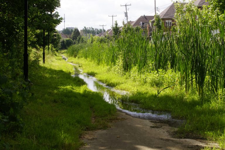Une partie de la piste cyclable est fermée en raison de l'eau qui empiète sur la chaussée.