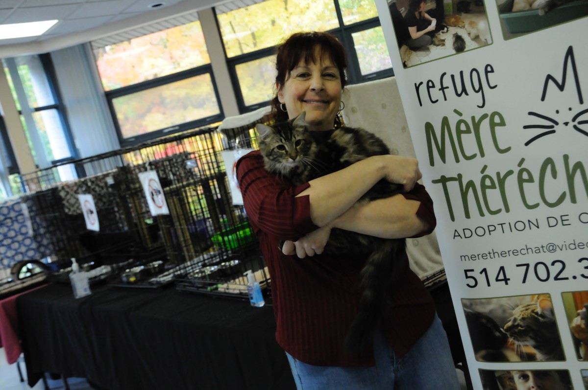 Gina Fiorito est la Mère ThéréChat qui s’oppose à l’euthanasie des chats de son refuge.