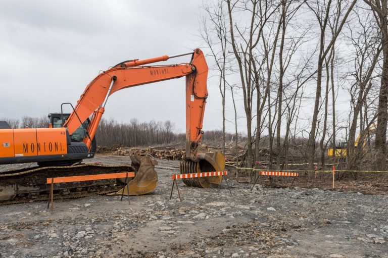 La coupe d'arbres a déboisé un terrain d'une superficie de 10 hectares dont 40 % est en milieu humide.