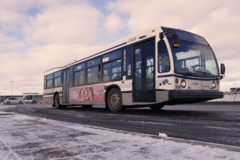 La ligne touristique 360 de la STL sera exceptionnellement en opération tous les jours du 4 au 12 mars.