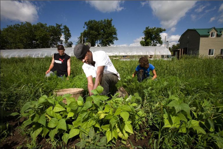 Du soutien pour l’économie sociale L’organisme Jeunes au travail se voit confier une enveloppe de 10 000 $ en lien avec un projet d’atelier d’ébénisterie.