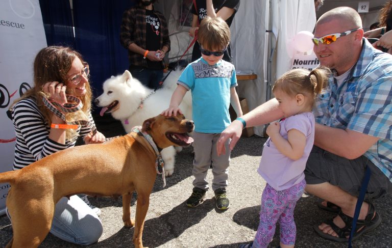 Le Salon des Amimaux reviendra l’an prochain Le soleil a contribué à amener près de 6000 visiteurs au premier Salon des Amimaux de Laval.