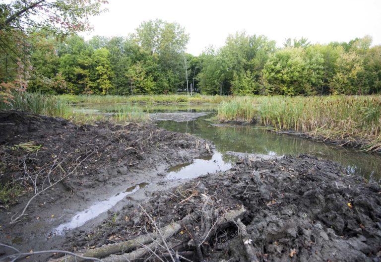 Fortement altéré par des travaux commandés par la Ville en 2010 (notre photo), le cours d'eau Sainte-Rose sera remis en état. La restauration écologique s'effectuera cet automne.
