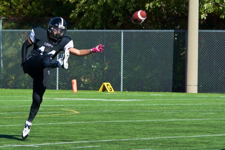 Les Loups s’inclinent face au meneur Les Loups ont glissé au quatrième rang du classement.
