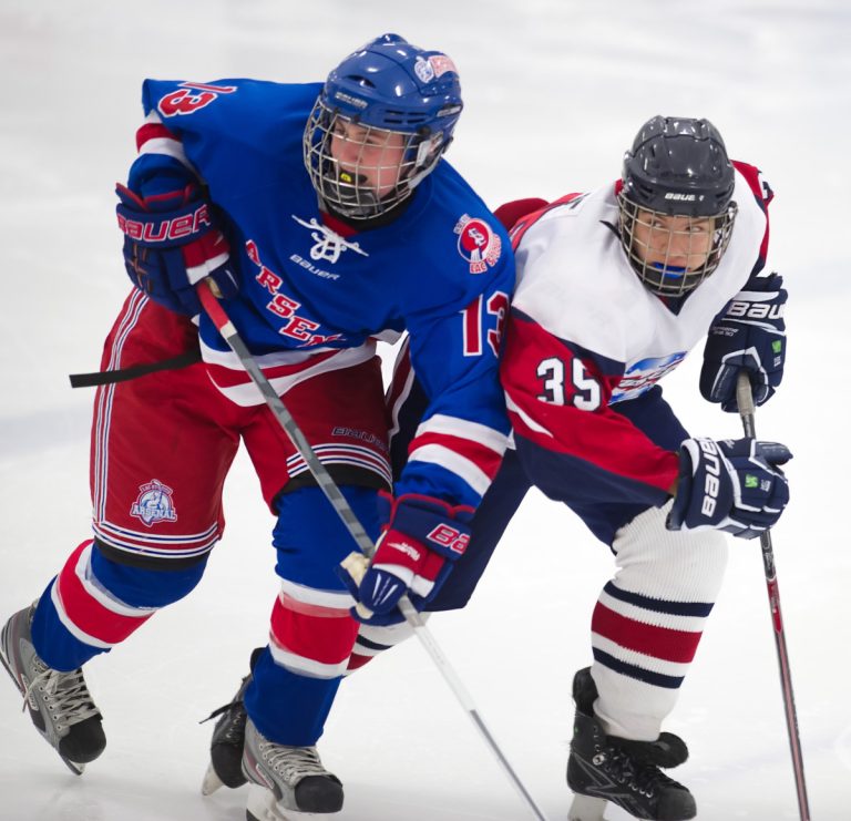 Hockey région Laval a reçu 270 193 $ pour la saison 2016.