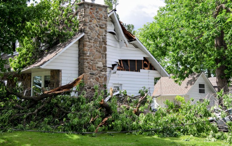 Parmi les nombreux incidents de la nuit, un immense arbre a été déraciné sur la rue de Pise, dans Vimont. (Photo: TC Media - Vincent Graton)