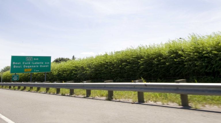 L’implantation d’un ouvrage dans un axe est-ouest n’était pas favorable à l’utilisation d’un mur végétal. (Photo:Alarie Photos)