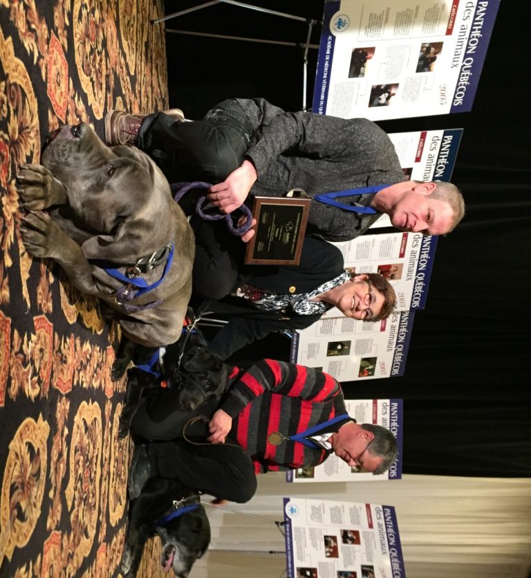 Trois chiens intronisés pour leur vaillance Gilles Godbout et Popeye; Danielle Chaput et Fallon; Richard Bérubé et Pete.
