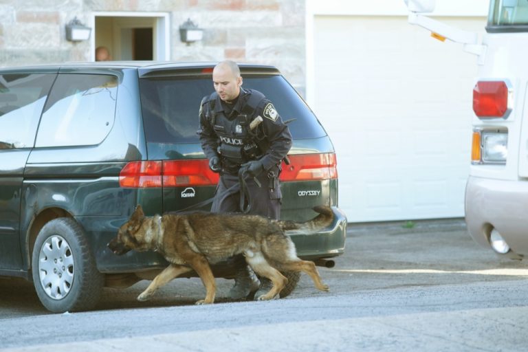 L’enquête amorcée en février 2014 visait une famille de Chomedey qui effectuait du trafic de cocaïne depuis plusieurs années ainsi que leurs complices.(Photo TC Media - Mario Beauregard)