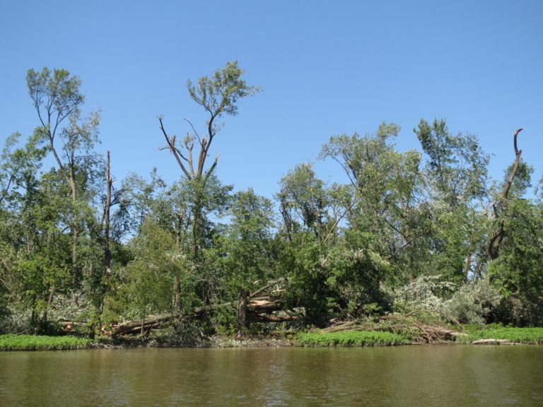 Des îles dévastées au Parc de la Rivière-des-Mille-Îles Parmi les plus fréquentées du Parc de la Rivière-des-Mille-Îles, l’île Kennedy a été durement touchée par les orages violents du 19 juillet.