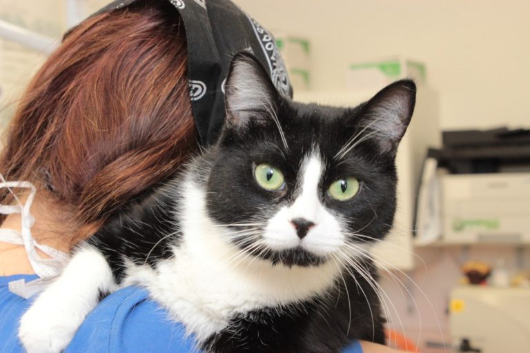 le Salon Amimaux porte le sceau BEA Responsable.