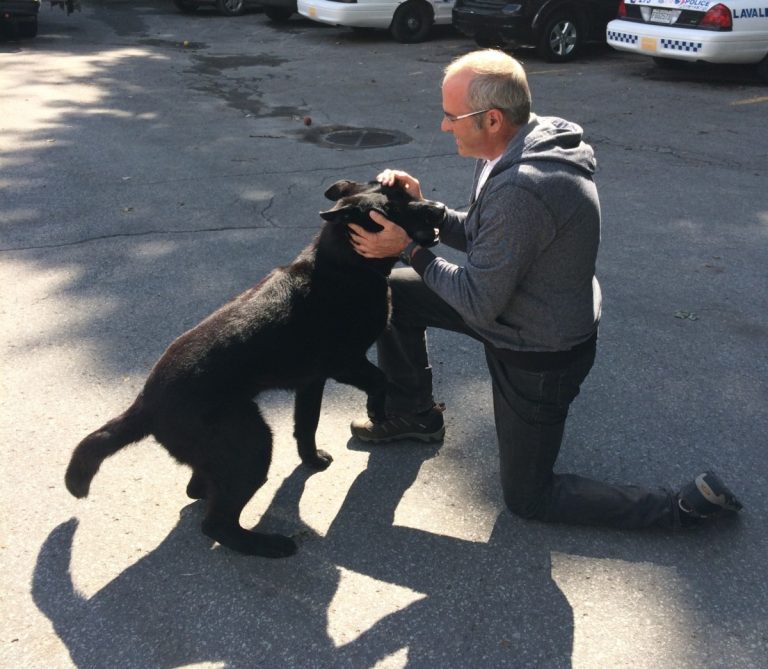 Relic a travaillé auprès de deux maîtres-chiens, Alexandre Lapierre et Serge Proulx. Ce dernier a adopté son ancien partenaire et nouveau retraité.(Photo gracieuseté) 