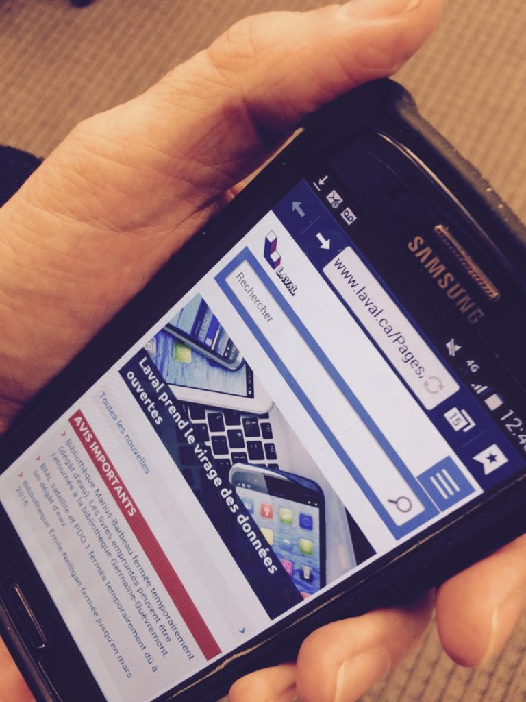 Actuellement, 14 jeux de données provenant de différents services municipaux sont disponibles sur portail de la Ville.