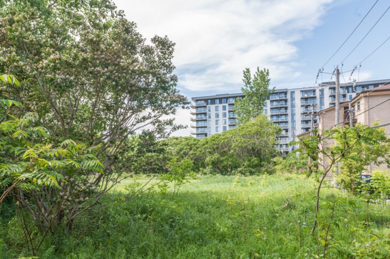 Le bois du Trait-Carré dans sa portion nord-est voisinant avec les condominiums de la rue McNamara. À l'arrière, on aperçoit la résidence pour personnes âgées l'Oasis Saint-Martin bordant le boulevard du même nom.