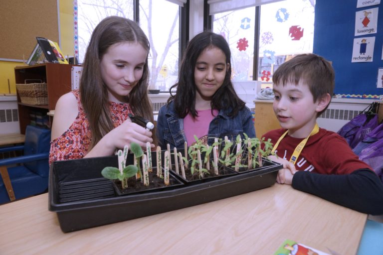 Un jardin communautaire pousse à l’école Du Bois-Joli