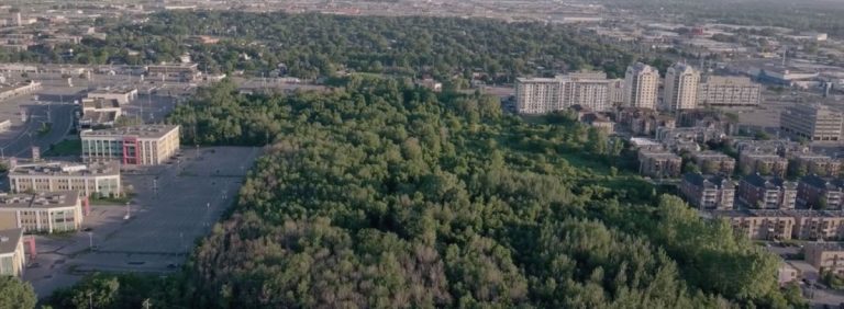 Les 12 hectares du bois du Trait-Carré sont enclavés entre les boulevards de L'Avenir, Laval, Saint-Martin et Du Souvenir.