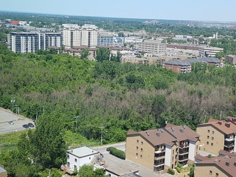 Sondage: 67 % des répondants pour que la Ville paie 20 M$