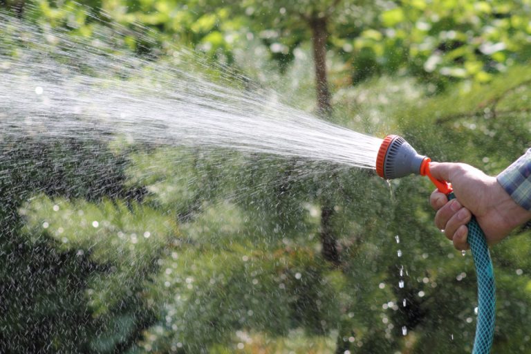 Réduction de l’arrosage : la collaboration des citoyens est requise
