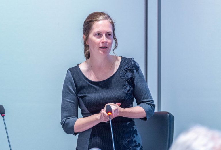 «Il n’y avait nulle urgence de voter sur l’avenir du boisé» – Virginie Dufour