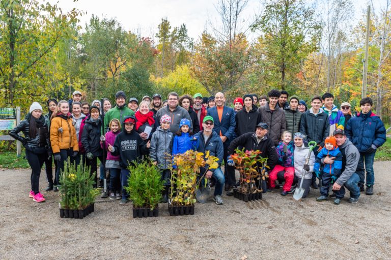 Un secteur du bois de l’Équerre restauré