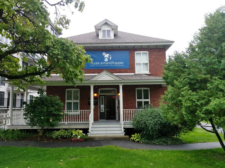 Échanges sur le racisme