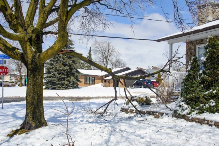 Plus qu’une soixantaine d’abonnés sans courant