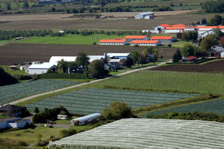 Projet de maillage pour agriculteurs