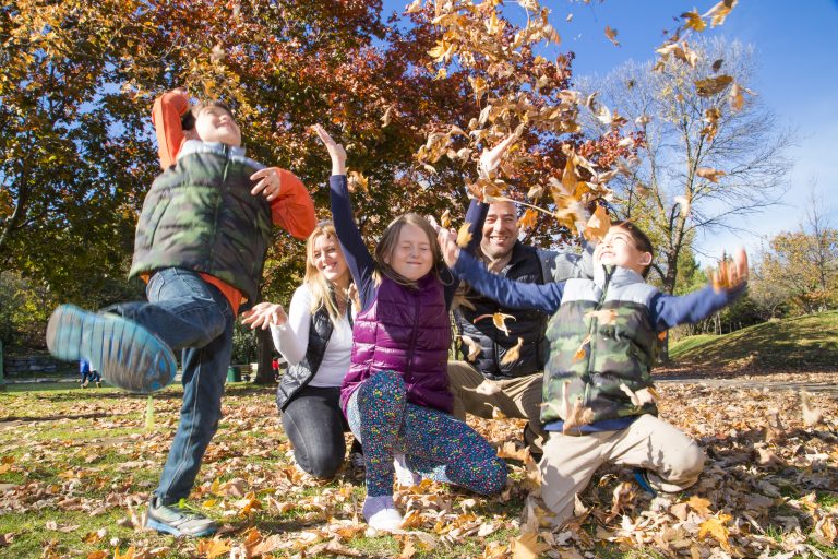 Recyclage de feuilles mortes et bacs bruns
