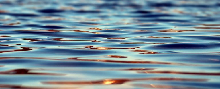Conférences et exposition au C.I.EAU