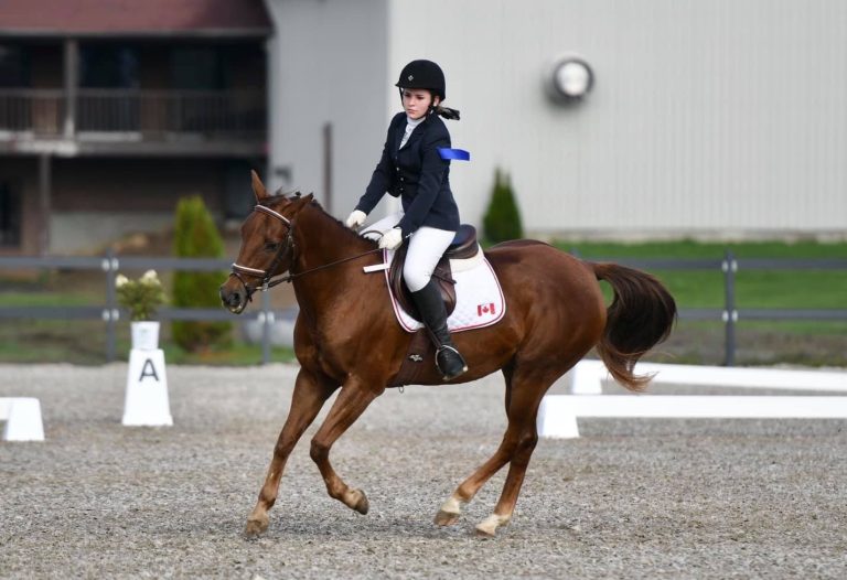 Cinq médaillées lavalloises aux Jeux équestres