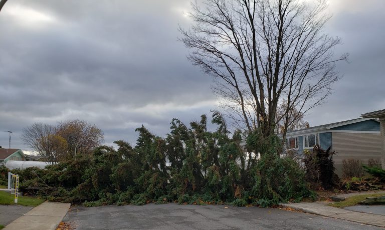 2500 appels au 911 depuis minuit