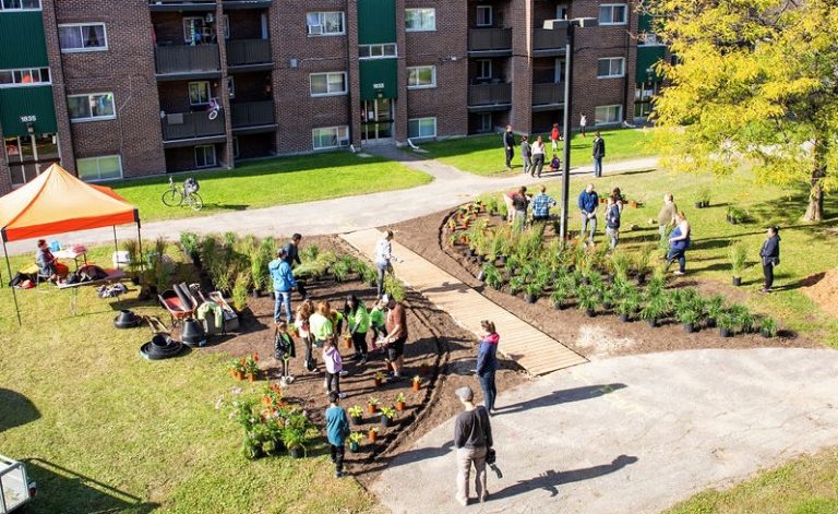 250 mètres carrés de béton en moins Place Saint-Martin
