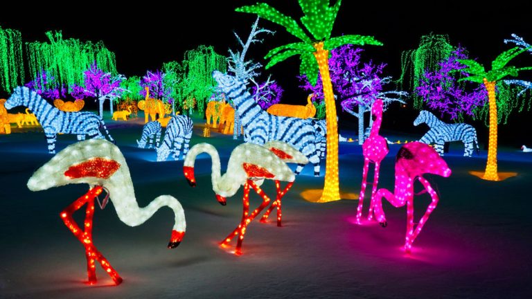CONCOURS VIVEZ L’EXPÉRIENCE ILLUMI À LAVAL 2019