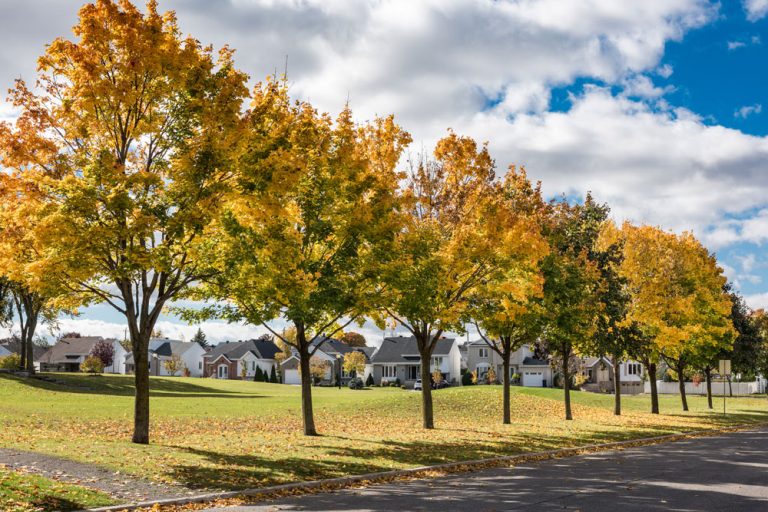 Important projet de déminéralisation et verdissement