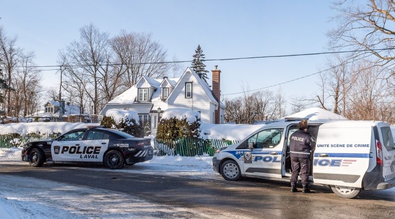 Introduction par effraction sur Meadow Lark