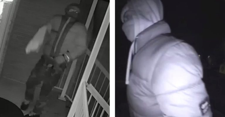 Suspect de vol dans des véhicules et résidences