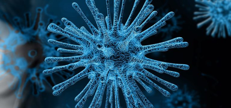 4 des 83 Lavallois infectés hospitalisés Virus
