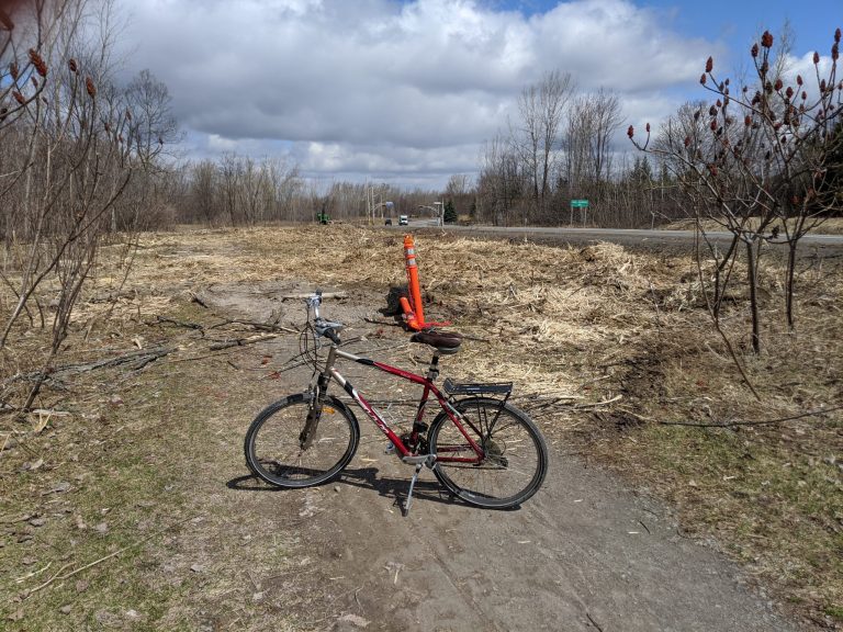 Des travaux de déboisement suscitent la grogne