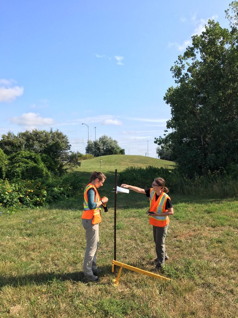 Verdissement de bretelles autoroutières