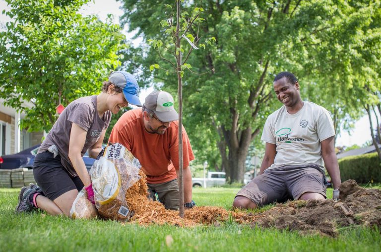 Jamais Sans Mon Arbre Pantaction